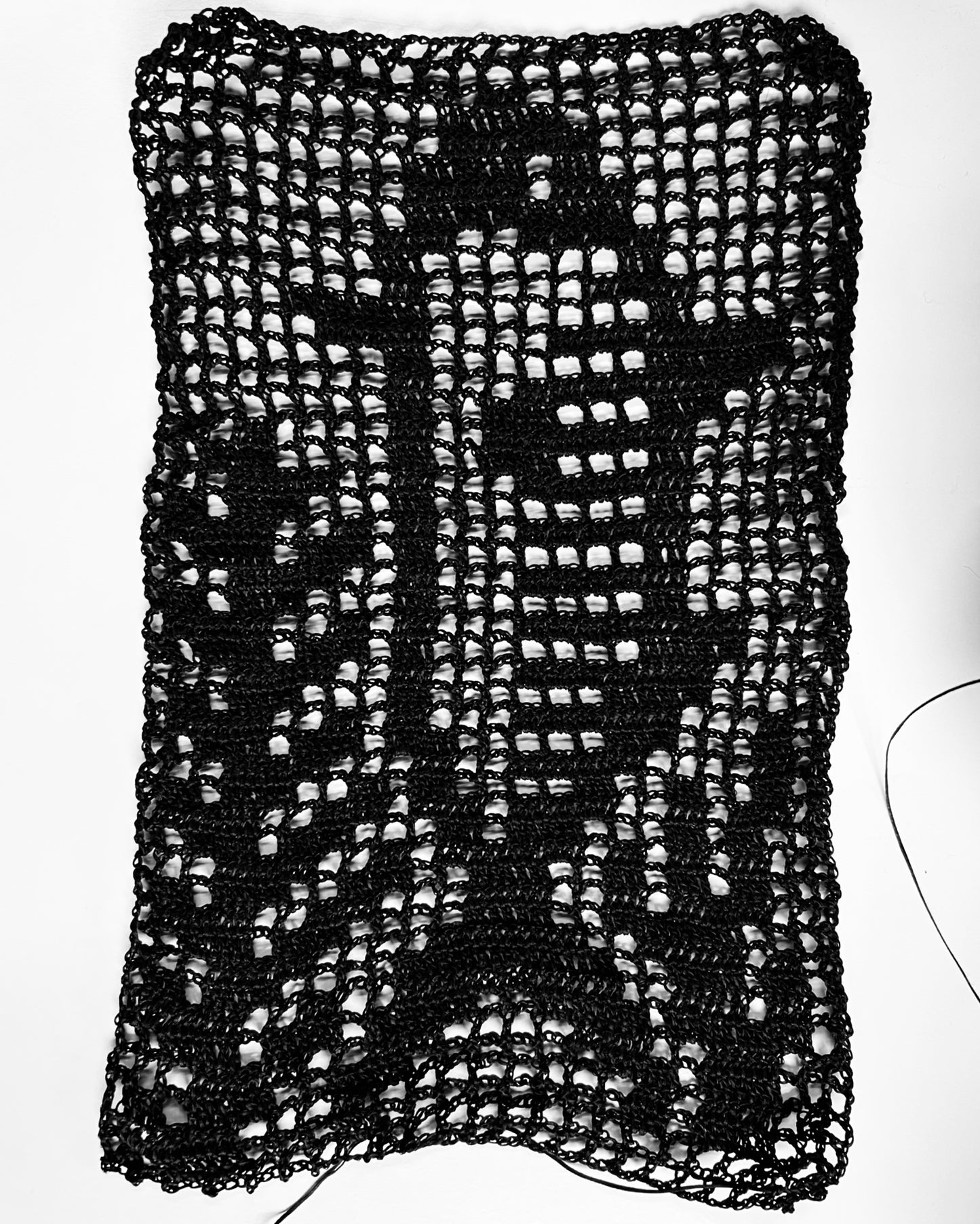 Fish Bag